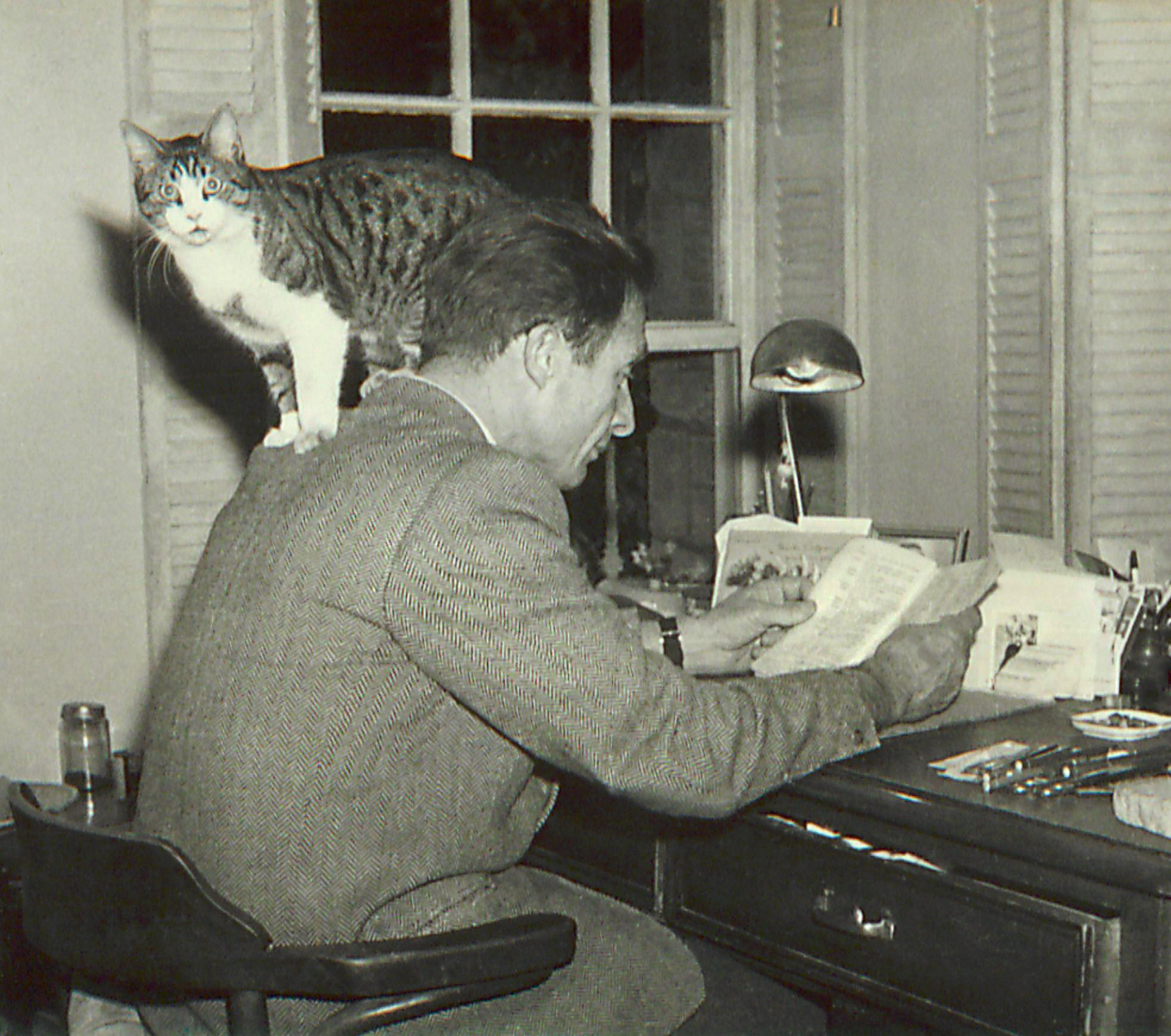 Traugott Fuchs’un bir fotoğrafı