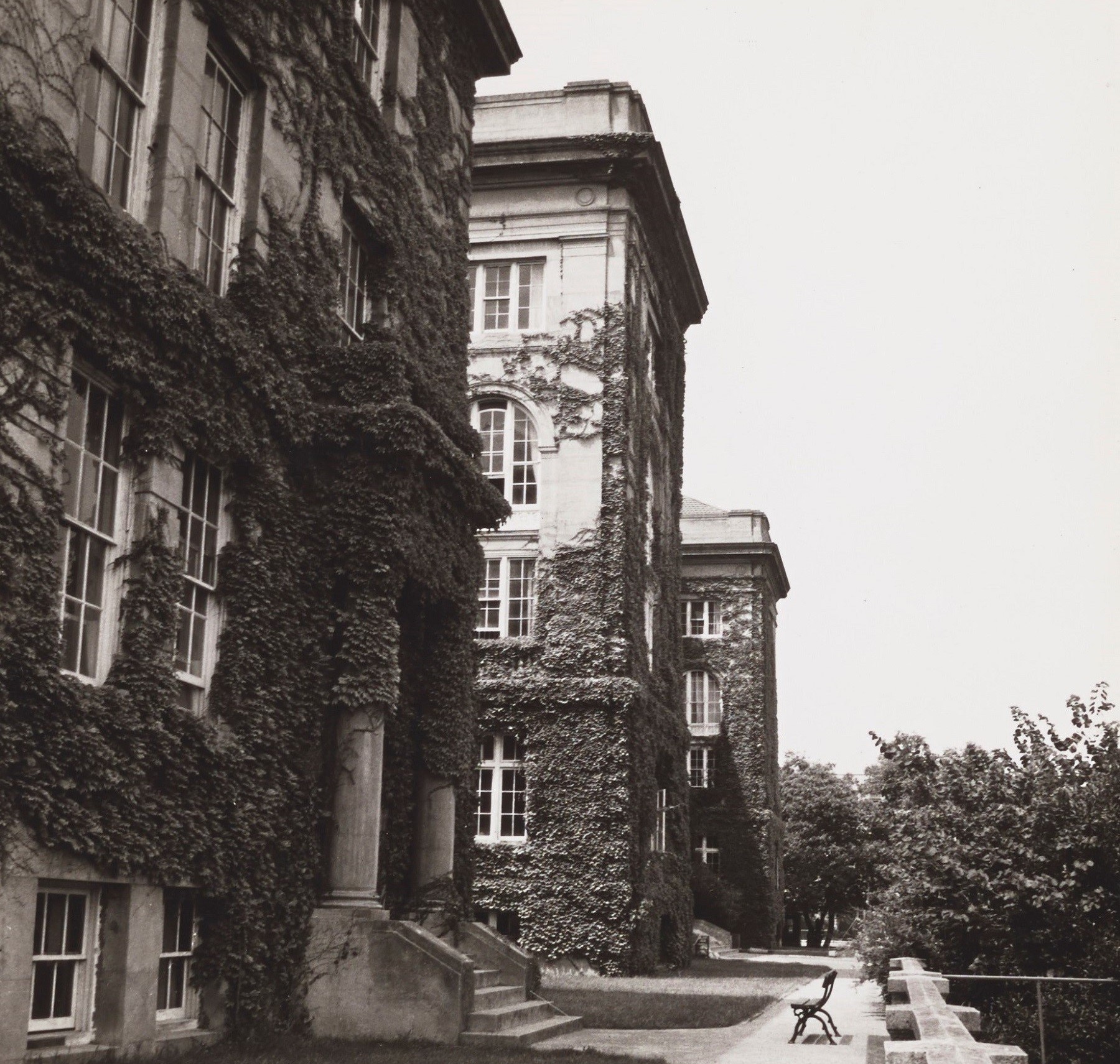 Amerikan Kız Koleji, Arnavutköy Kampüsü 