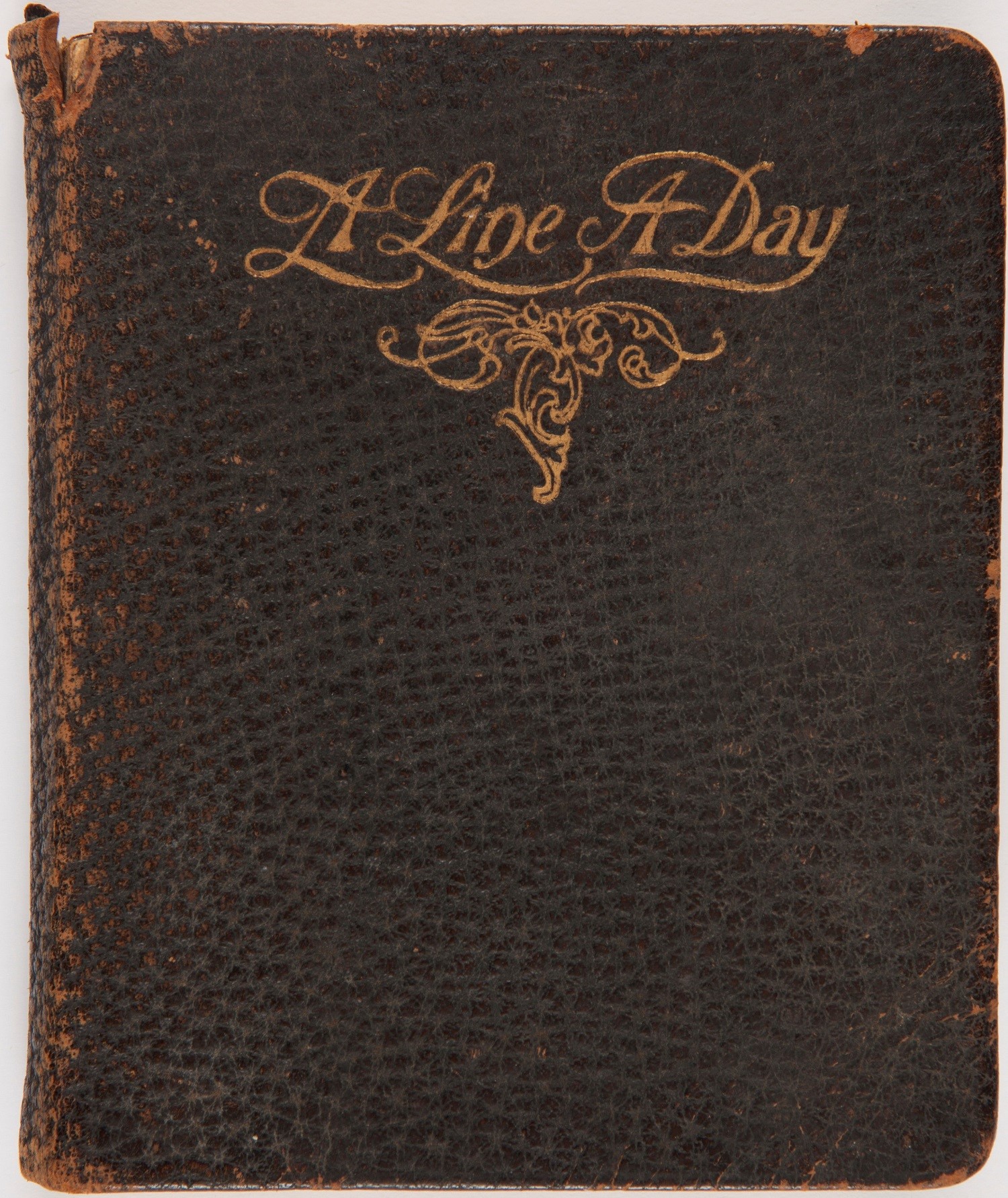 Cover of one of the diaries Eveline Thomson Scott